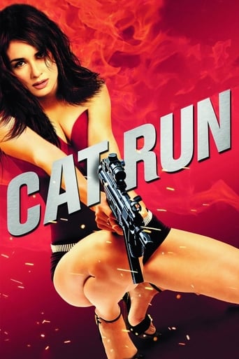 Cat Run 2011 (تلفات جاده‎ای)