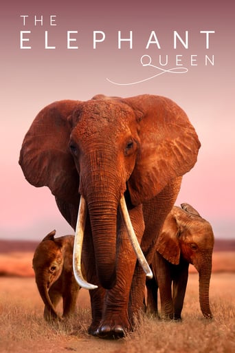 The Elephant Queen 2018 (فیل ملکه)