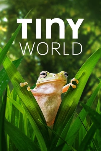 دانلود سریال Tiny World 2020 (دنیای کوچک) دوبله فارسی بدون سانسور