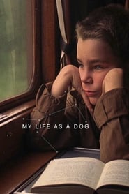 My Life as a Dog 1985