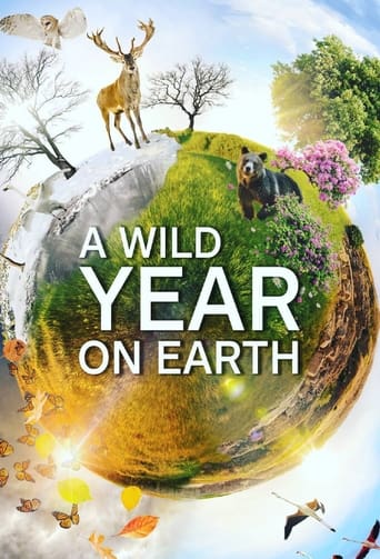 دانلود سریال A Wild Year On Earth 2020 دوبله فارسی بدون سانسور