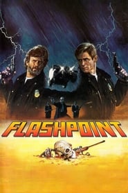 Flashpoint 1984