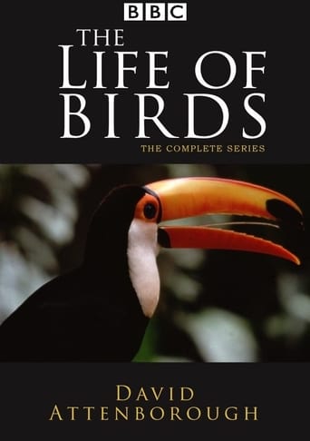 The Life of Birds 1998
